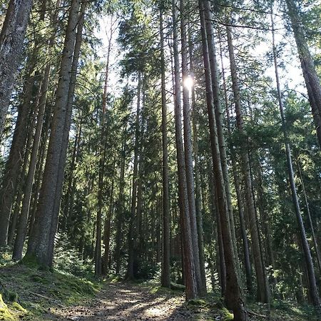 Ferienwohnung Brentenholz Sankt Georgen im Schwarzwald Zewnętrze zdjęcie