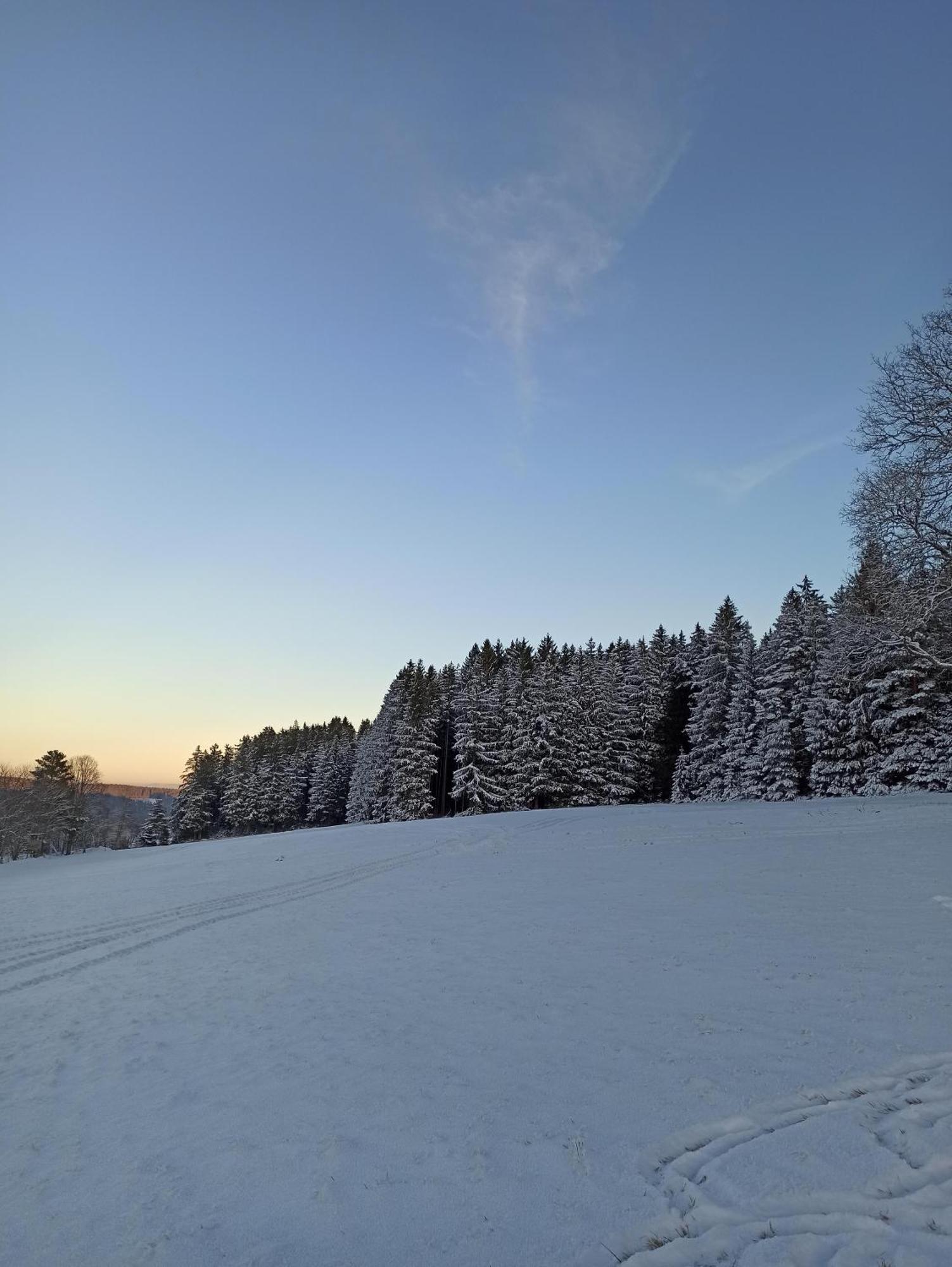 Ferienwohnung Brentenholz Sankt Georgen im Schwarzwald Zewnętrze zdjęcie