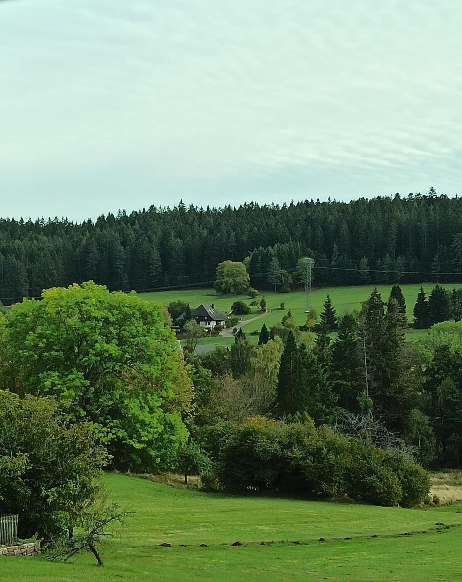 Ferienwohnung Brentenholz Sankt Georgen im Schwarzwald Zewnętrze zdjęcie