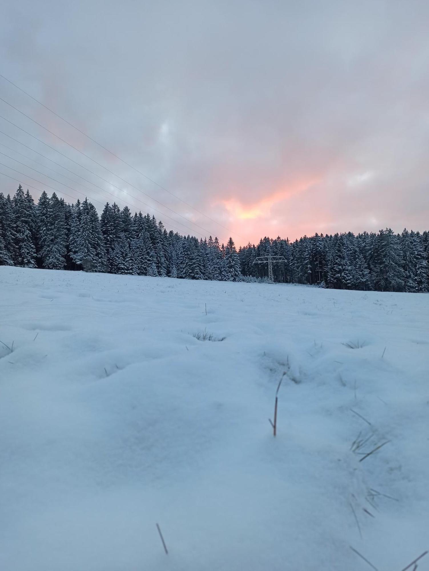 Ferienwohnung Brentenholz Sankt Georgen im Schwarzwald Zewnętrze zdjęcie