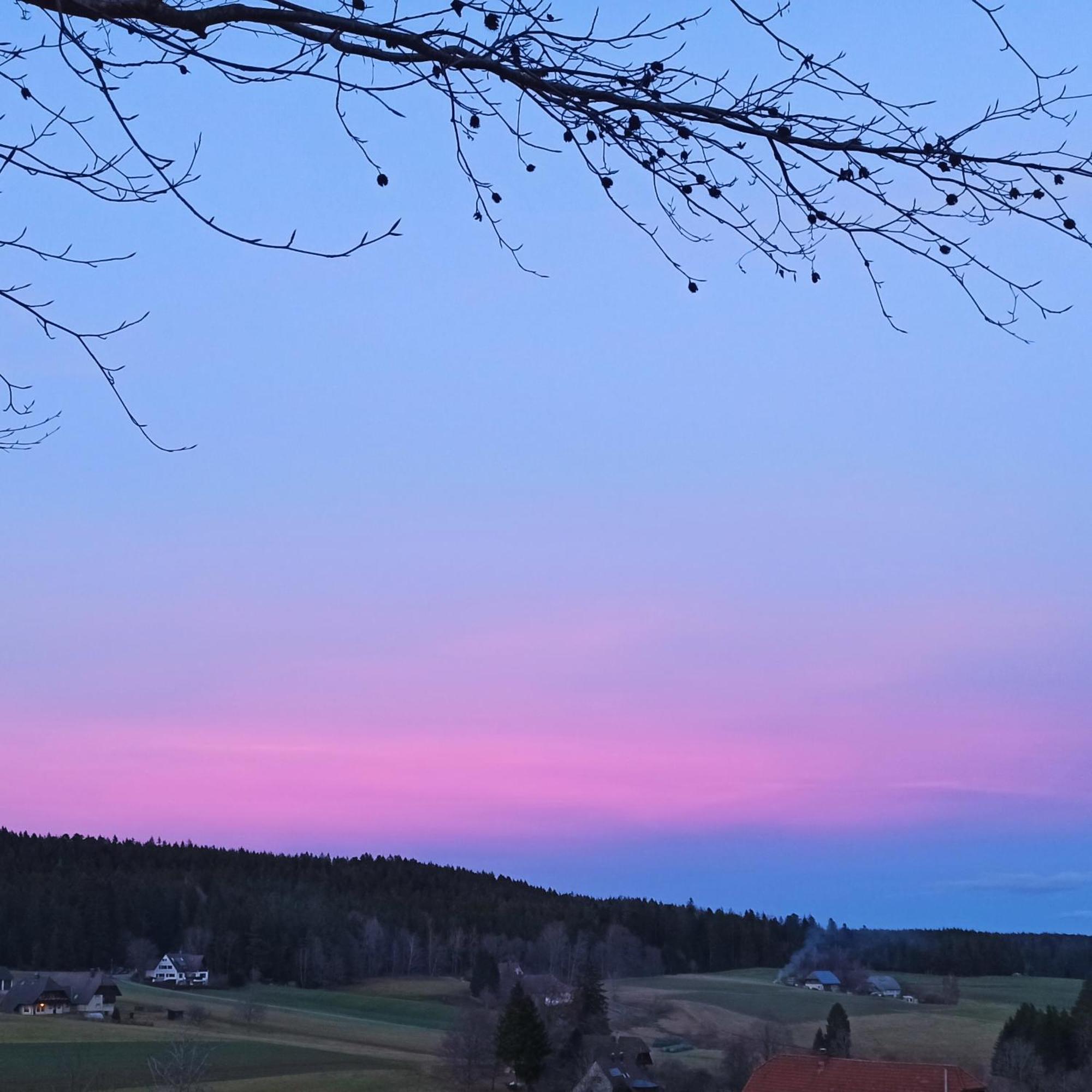 Ferienwohnung Brentenholz Sankt Georgen im Schwarzwald Zewnętrze zdjęcie